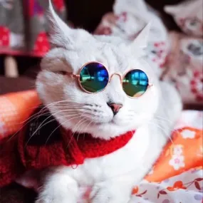 Pet Glasses Sunglasses Cat Sunglasses